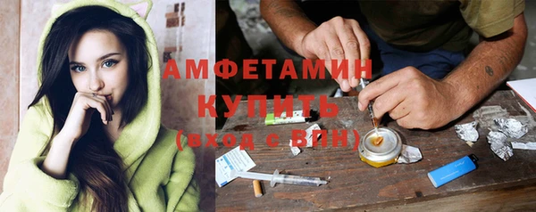 прущие грибы Кодинск