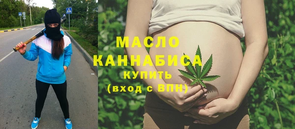 твердый Козельск